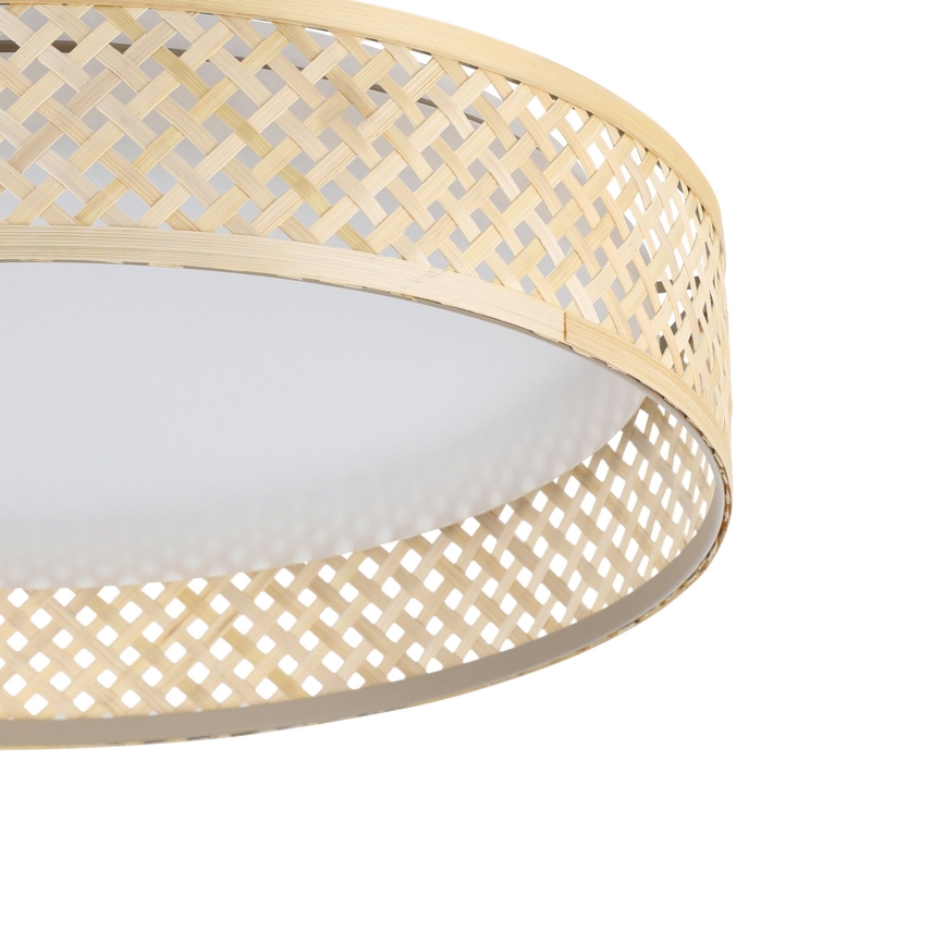 Eglo - LED-kattovalaisin LED/24W/230V