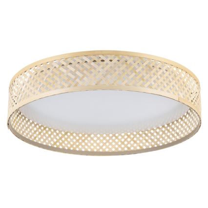 Eglo - LED-kattovalaisin LED/24W/230V