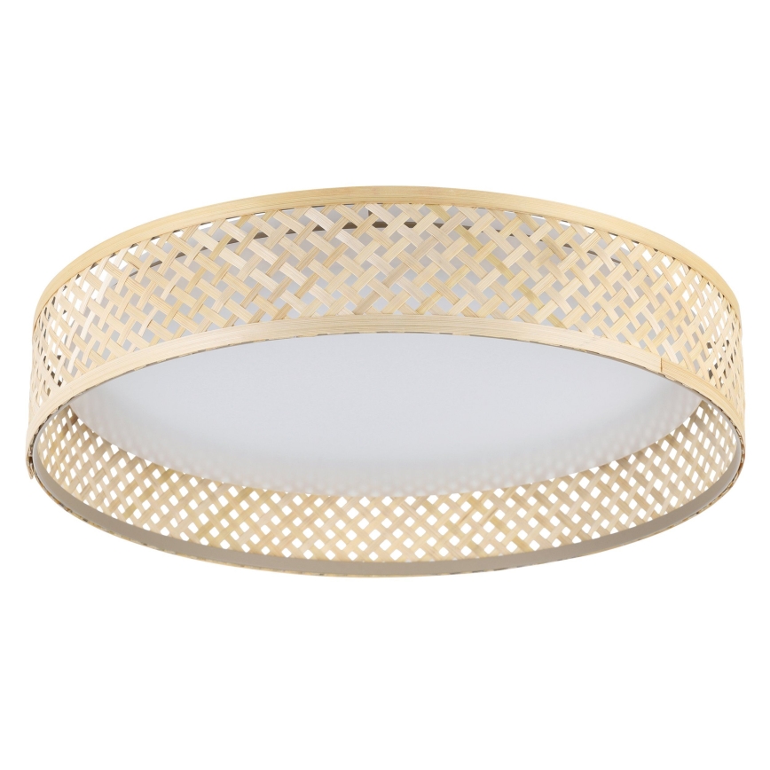 Eglo - LED-kattovalaisin LED/24W/230V