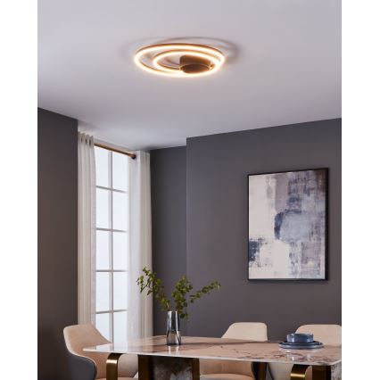 Eglo - LED-kattovalaisin LED/36W/230V