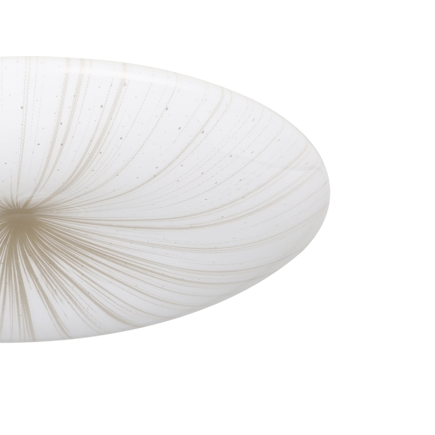 Eglo - LED-kattovalaisin LED/10W/230V