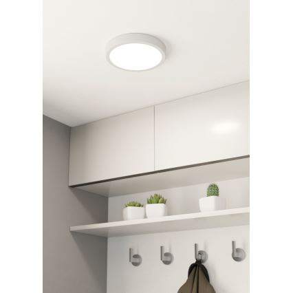 Eglo - LED-kattovalaisin kylpyhuoneeseen LED/17W/230V valkoinen IP44