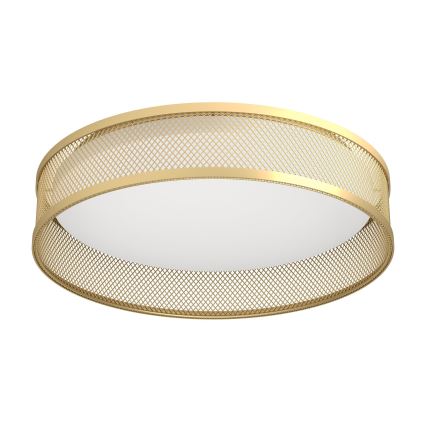 Eglo - LED-kattovalaisin LED/20W/230V kulta