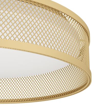 Eglo - LED-kattovalaisin LED/20W/230V kulta