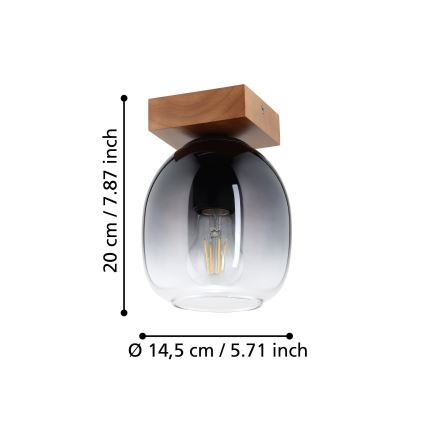 Eglo - Kattovalo 1xE27/40W/230V