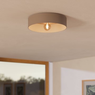 Eglo 900838 - Kattovalo DUAIA 1xE27/40W/230V ruskea