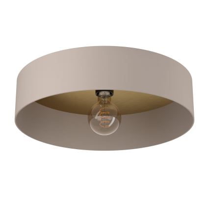 Eglo 900838 - Kattovalo DUAIA 1xE27/40W/230V ruskea