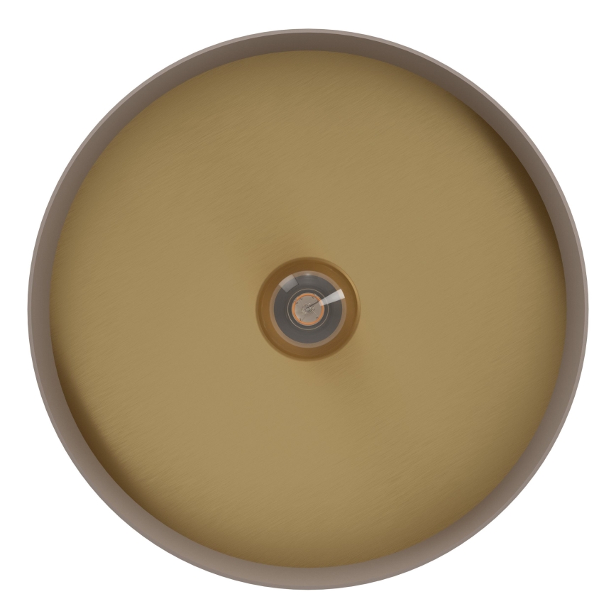 Eglo 900838 - Kattovalo DUAIA 1xE27/40W/230V ruskea