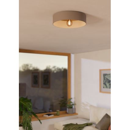 Eglo 900838 - Kattovalo DUAIA 1xE27/40W/230V ruskea