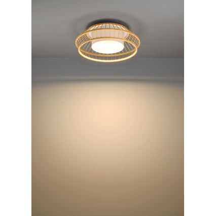 Eglo - LED RGBW Himmennettävä kattovalo LED/22W/230V 2700-6500K
