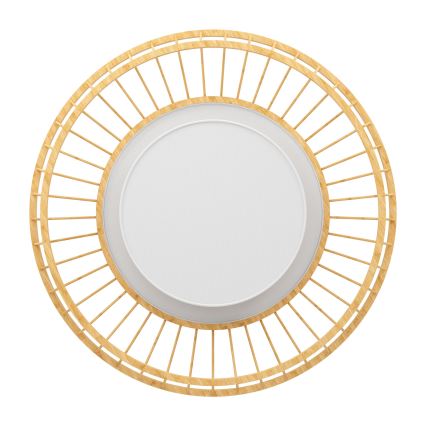 Eglo - LED RGBW Himmennettävä kattovalo LED/22W/230V 2700-6500K