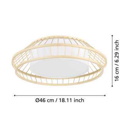 Eglo - LED RGBW Himmennettävä kattovalo LED/22W/230V 2700-6500K