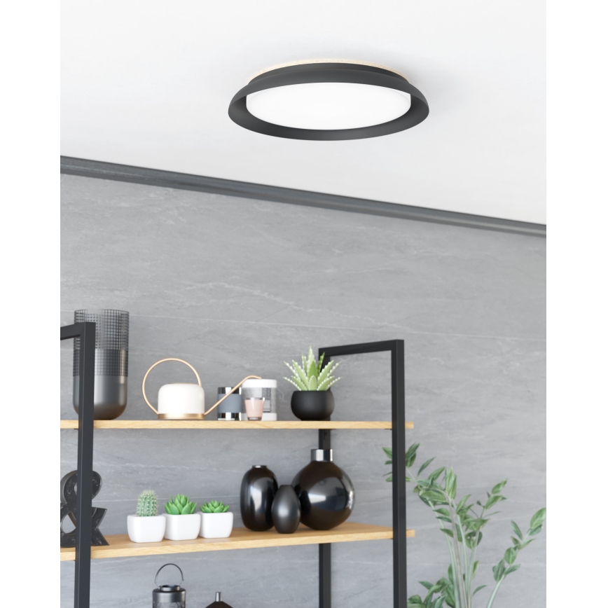 Eglo - LED-kattovalaisin LED/20W/230V