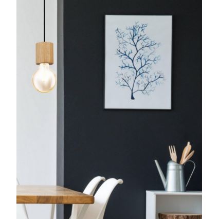 Eglo - Riippuvalaisin johdolla 1xE27/28W/230V