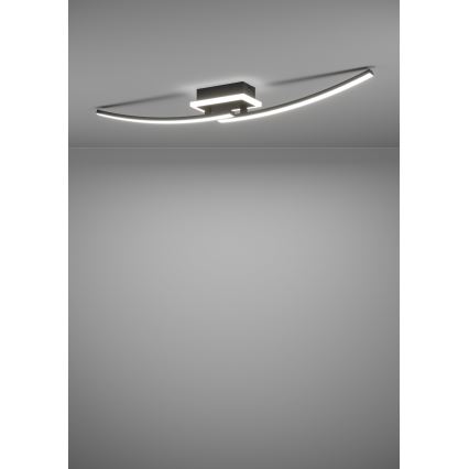 Eglo - LED-kattovalaisin LED/12W/230V 4000K musta