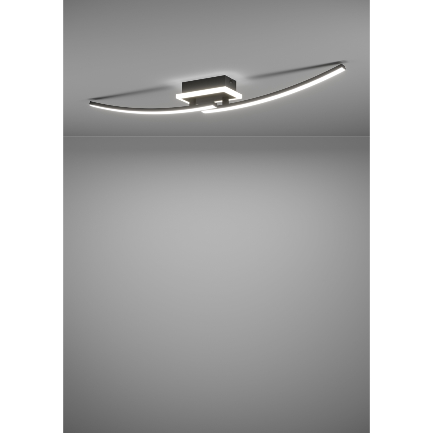 Eglo - LED-kattovalaisin LED/12W/230V 4000K musta