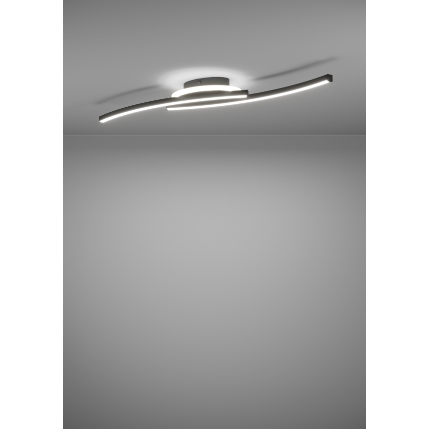 Eglo - LED-kattovalaisin LED/12W/230V 4000K musta
