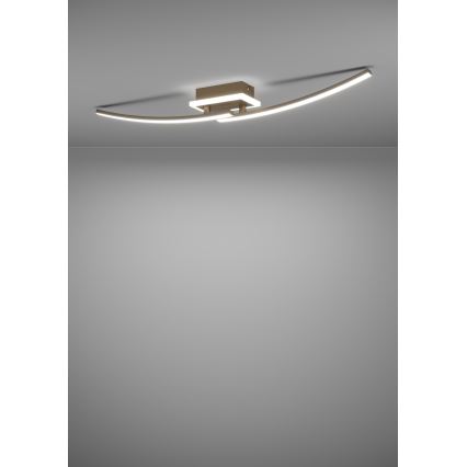 Eglo - LED-kattovalaisin LED/12W/230V 4000K kupari