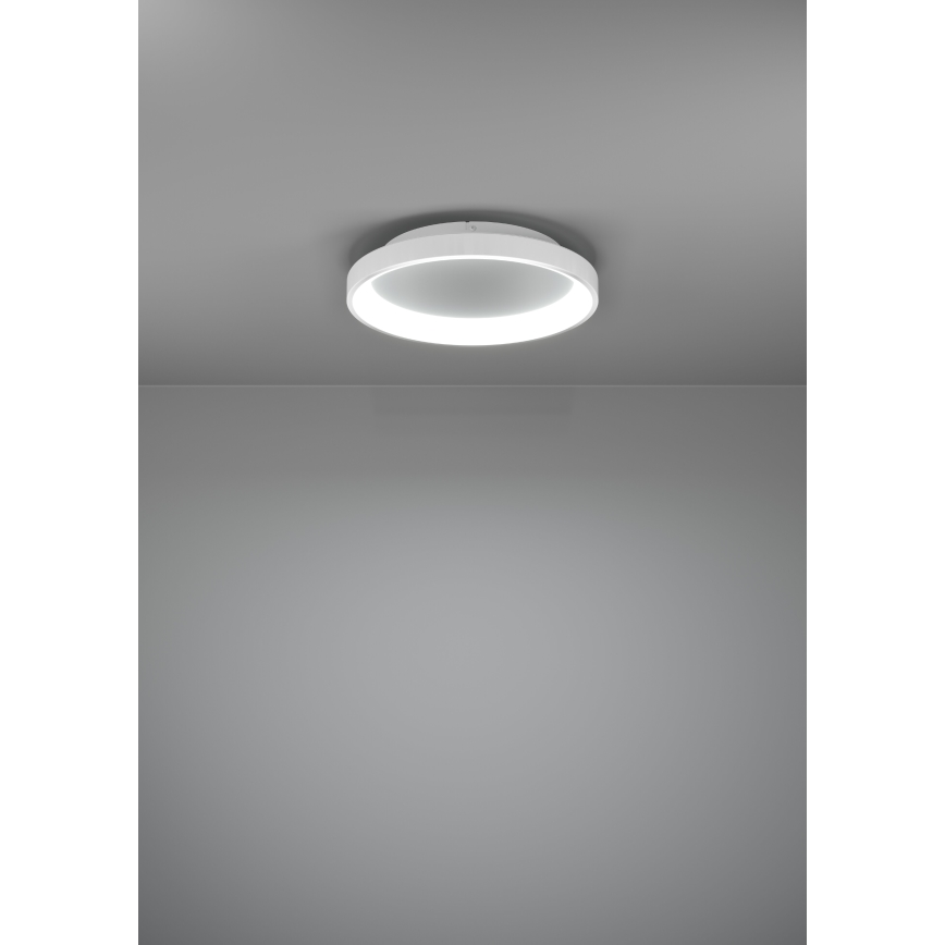 Eglo - Himmennettävä LED-kattovalaisin LED/12W/230V 2700-6500K valkoinen + kauko-ohjaus