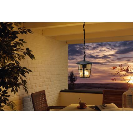 Eglo 93406 - LED-ulkokattokruunu ALORIA 1xE27/8,5W/230V IP44