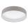 Eglo 93952 - LED-kattovalaisin PALOMARO LED/24W/230V