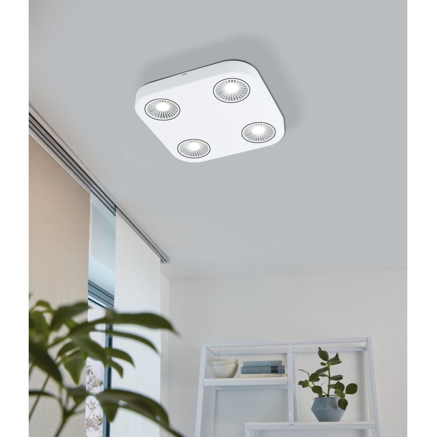 Eglo 94178 - LED-kohdevalaisin MONTALE 4xLED/5,4W/230V