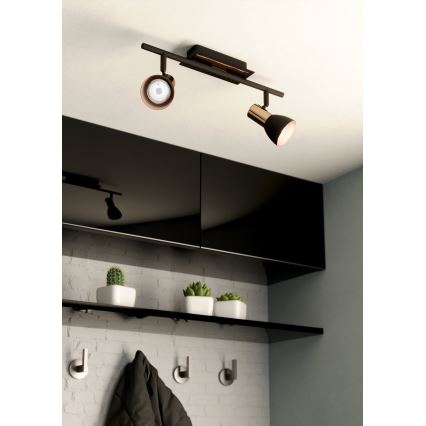 Eglo 94585 - LED-kohdevalaisin BARNHAM 2xGU10/3,3W/230V