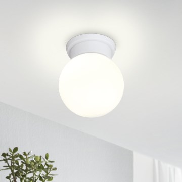 Eglo 94973 - Kattovalo DURELO 1xE27/28W/230V