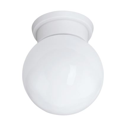 Eglo 94973 - Kattovalo DURELO 1xE27/28W/230V