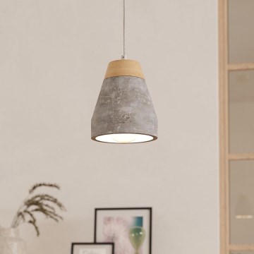 Eglo 95525 - Kattokruunu TAREGA 1xE27/60W/230V