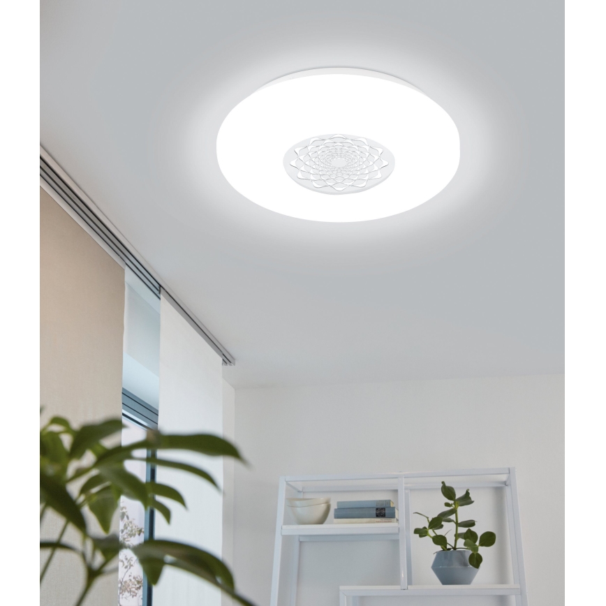Eglo 96026 - LED-kattovalaisin CAPASSO 1 LED/24W/230V