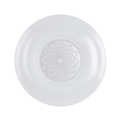 Eglo 96026 - LED-kattovalaisin CAPASSO 1 LED/24W/230V