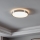 Eglo 96034 - LED-kattovalaisin COMPETA 1 LED/24W/230V