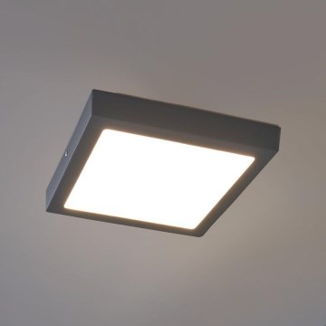 Eglo 96495 - LED-ulkokattovalaisin ARGOLIS LED/22W IP44
