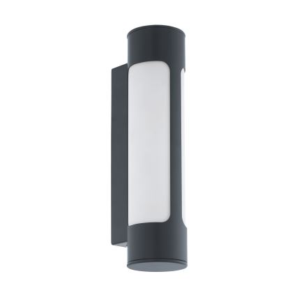 Eglo 97119 - LED-ulkoseinävalaisin TONEGO 2xLED/6W/230V IP44