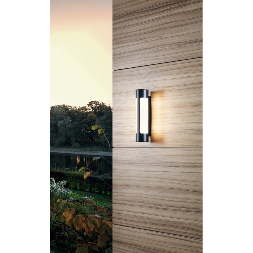 Eglo 97119 - LED-ulkoseinävalaisin TONEGO 2xLED/6W/230V IP44