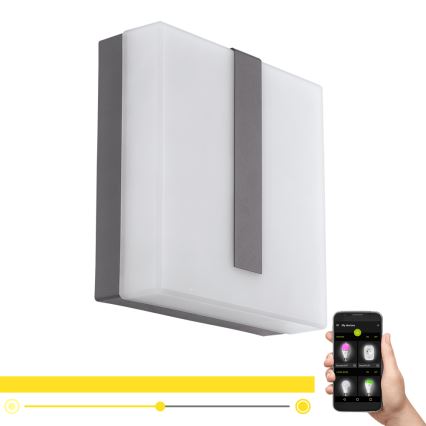 Eglo - LED himmennettävä ulkokäyttöön tarkoitettu seinävalaisin TORAZZA-C LED/14W/230V IP44