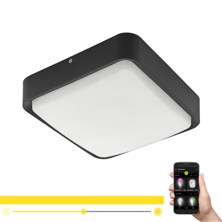 Eglo - LED Himmennettävä ulkokattovalo LED/14,6W/230V