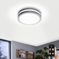Eglo 97299 - LOCANA-C LED/14W himmennettävä kylpyhuonevalaisin, hopea, IP44