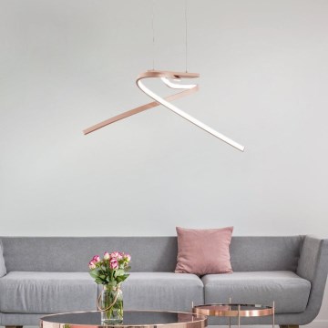 Eglo 97362 - LED-kattokruunu narussa PALOZZA 2xLED/11W/230V