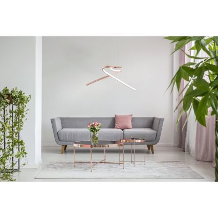 Eglo 97362 - LED-kattokruunu narussa PALOZZA 2xLED/11W/230V