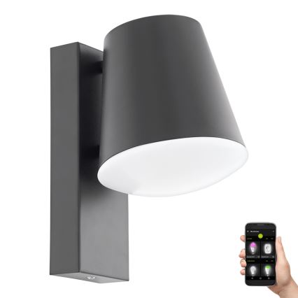 Eglo - LED Himmennettävä ulkoseinävalaisin CALDIERO-C 1xE27/9W/230V IP44