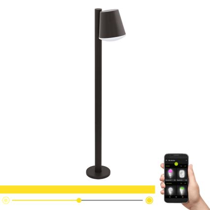 Eglo - LED RGB Himmennettävä ulko lamppu CALDIERO-C 1xE27/9W/230V antrasiitti IP44