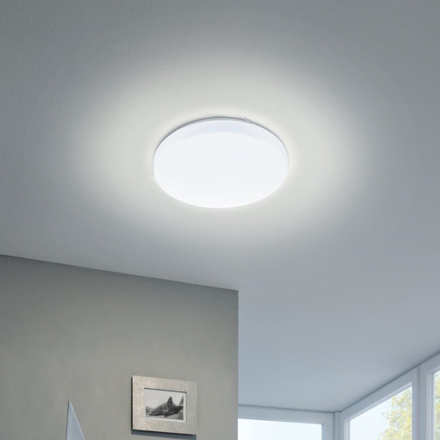 Eglo 97871 - LED-kattovalaisin FRANIA LED/11,5W/230V