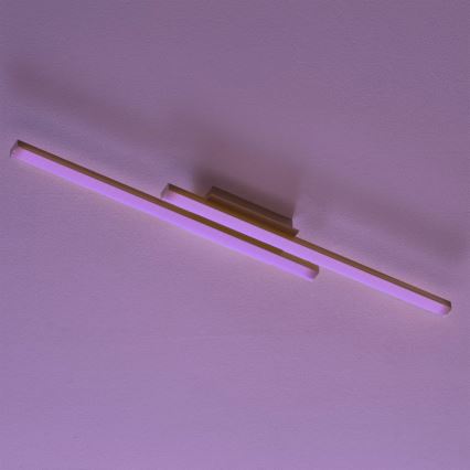Eglo 97906 - LED RGB-himmennettävä kattovalo FRAIOLI-C 2xLED/17W/230V
