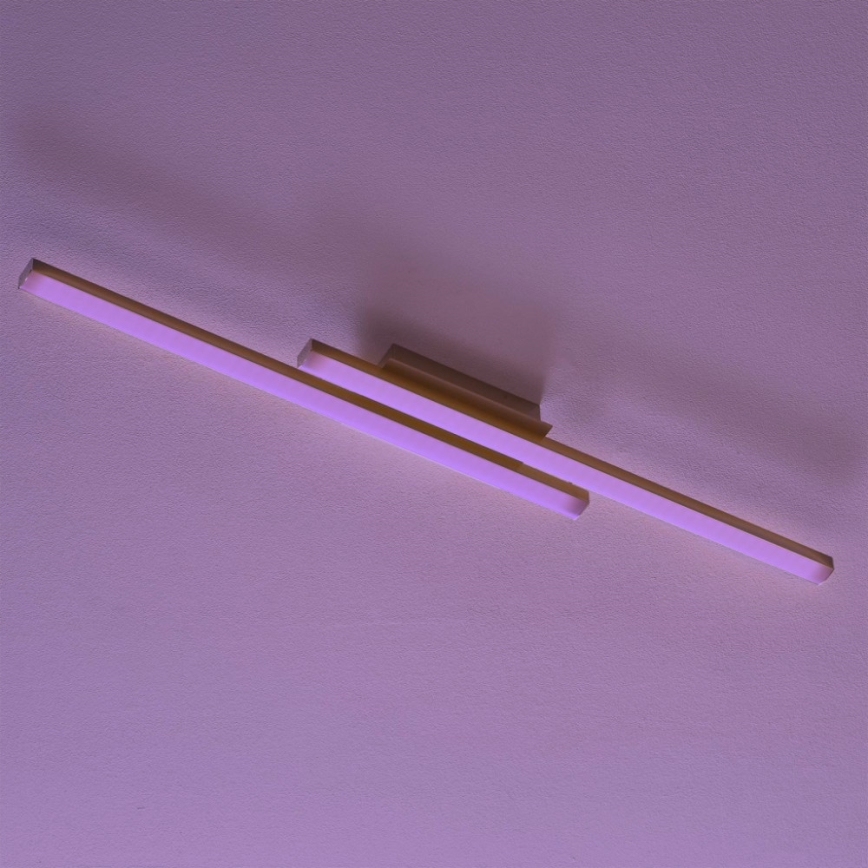 Eglo 97906 - LED RGB-himmennettävä kattovalo FRAIOLI-C 2xLED/17W/230V