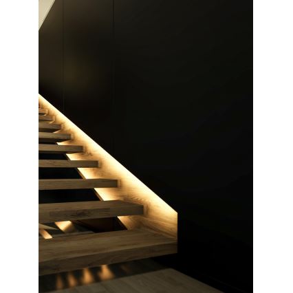 Eglo 97927 - RGB LED-himmennysnauha FLEX LED/10W/230V IP20