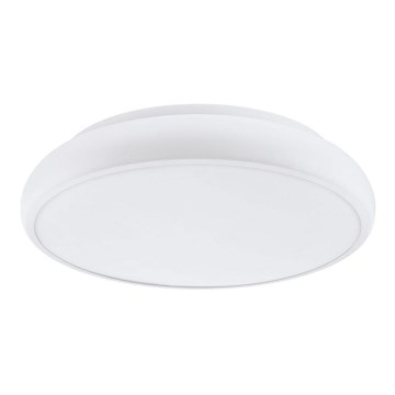 Eglo 98045 - Himmennettävä LED-RGB-kattovalaisin RIODEVA-C LED/27W/230V