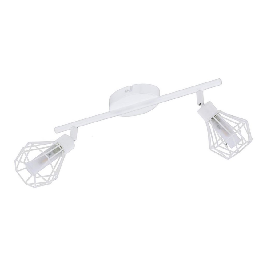 Eglo 98049 - LED-kohdevalaisin ZAPATA 2xG9/3W/230V
