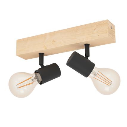 Eglo 98112 - Kohdevalo TOWNSHEND 2xE27/60W/230V